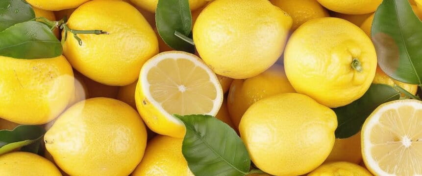 تصویر 4 از لیمو ترش سنگی سلطان لیمو های آبدار جنوب